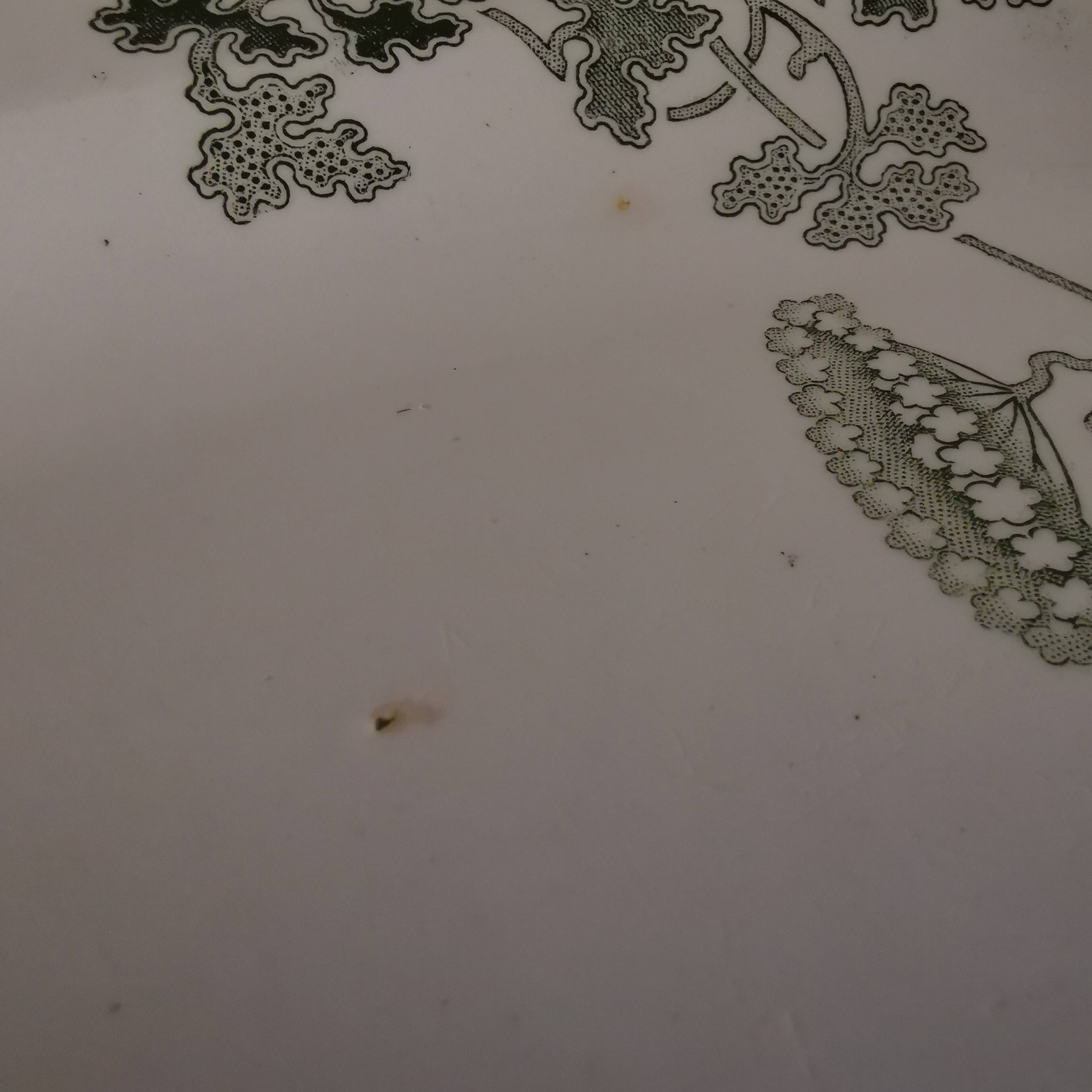 Large oval dish St Amand model "modern style" green Terre de Fer