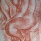 Georges Émile Capon – Female Nude, numbered lithograph 45/60, signed