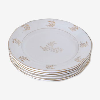Set of opaque porcelain plates 'Raphael' from the French manufacturer Digoin-Sarreguemines
