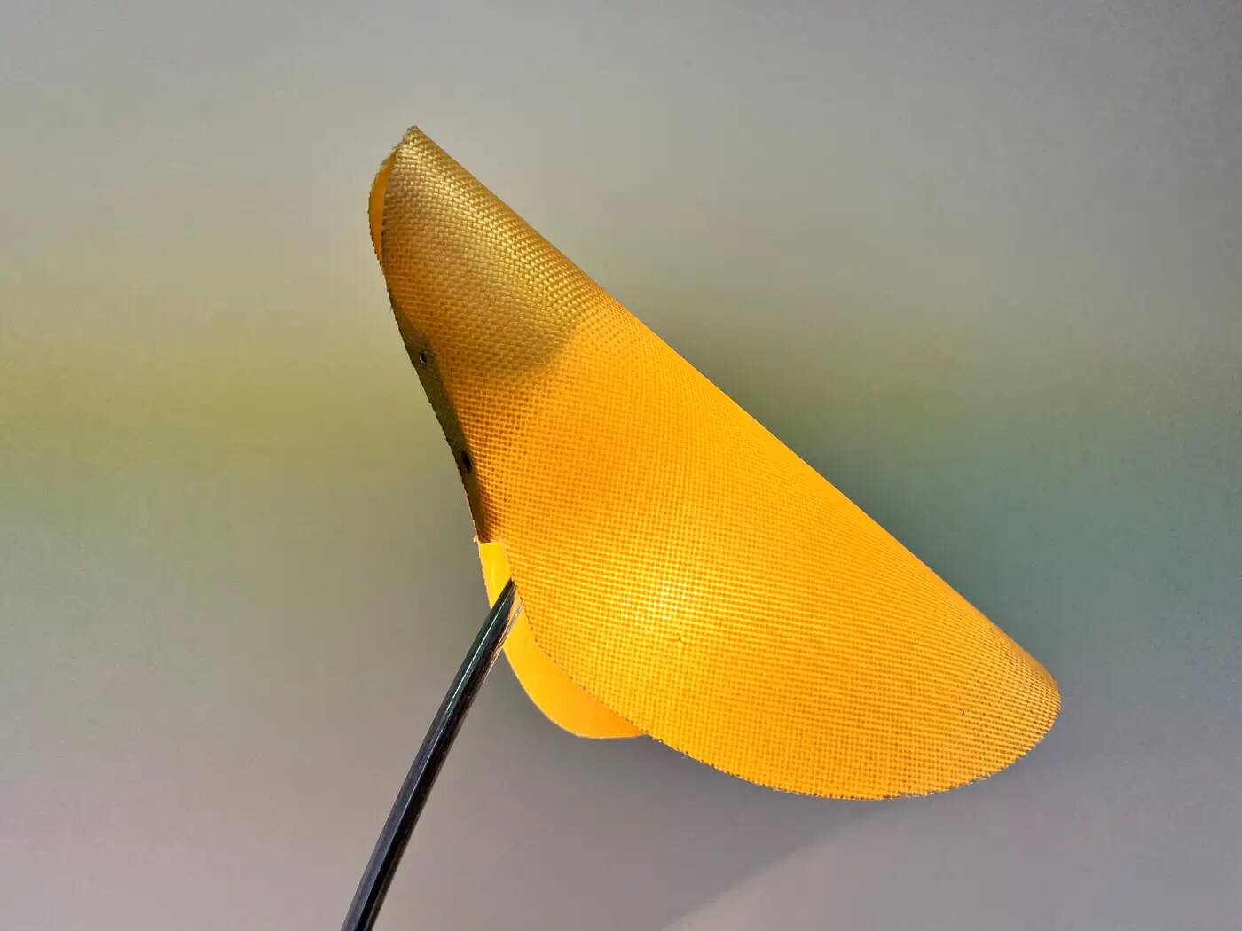 Mid-century organic design floor lamp by Josef Hůrka, 1960s / Napako