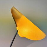 Mid-century organic design floor lamp by Josef Hůrka, 1960s / Napako