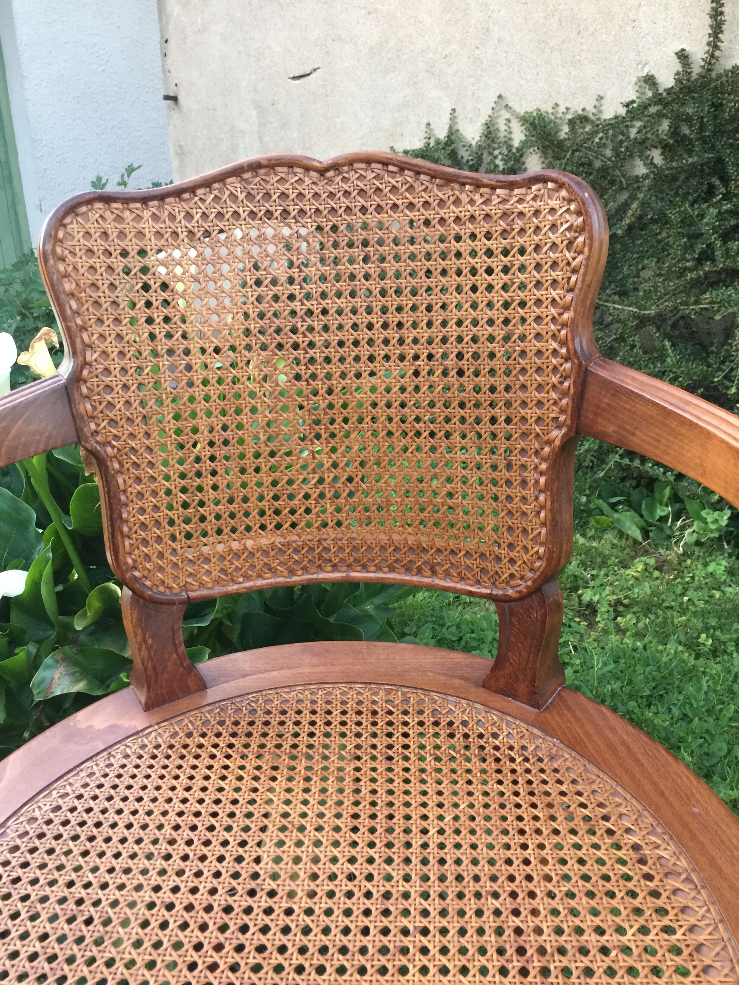 Canine Louis XV style office armchair