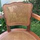 Canine Louis XV style office armchair