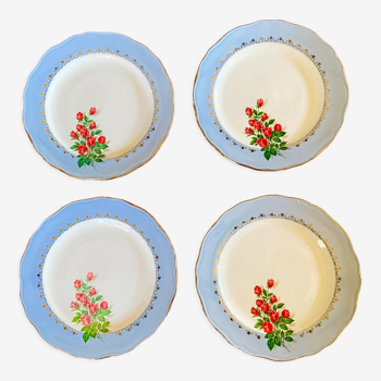 Set of 4 earthenware plates