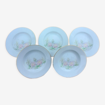 5 assiettes creuses porcelaine liseré doré décor nénuphar, de limoges france