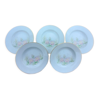 5 assiettes creuses porcelaine liseré doré décor nénuphar, de limoges france