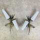 Pair of 1950s wall lights in brass and opaline tulips, Lunel/Arlus
