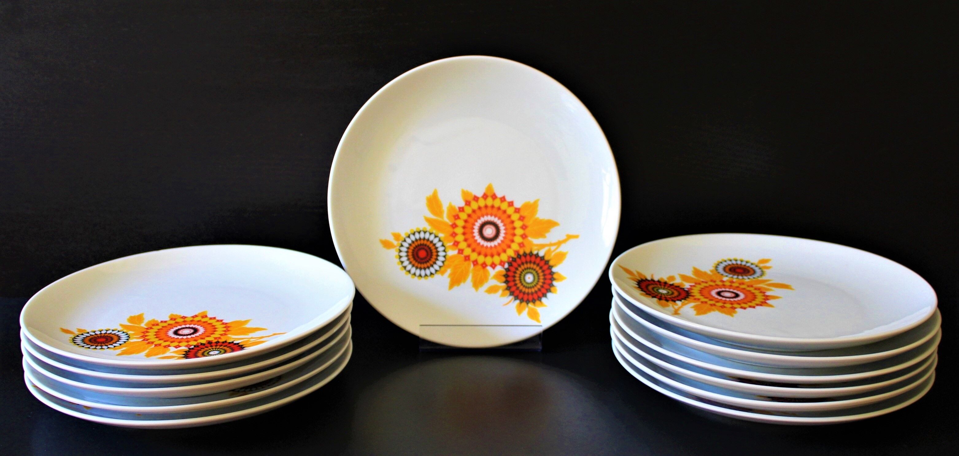 6 70's dessert plates in Winterling Bavaria porcelain
