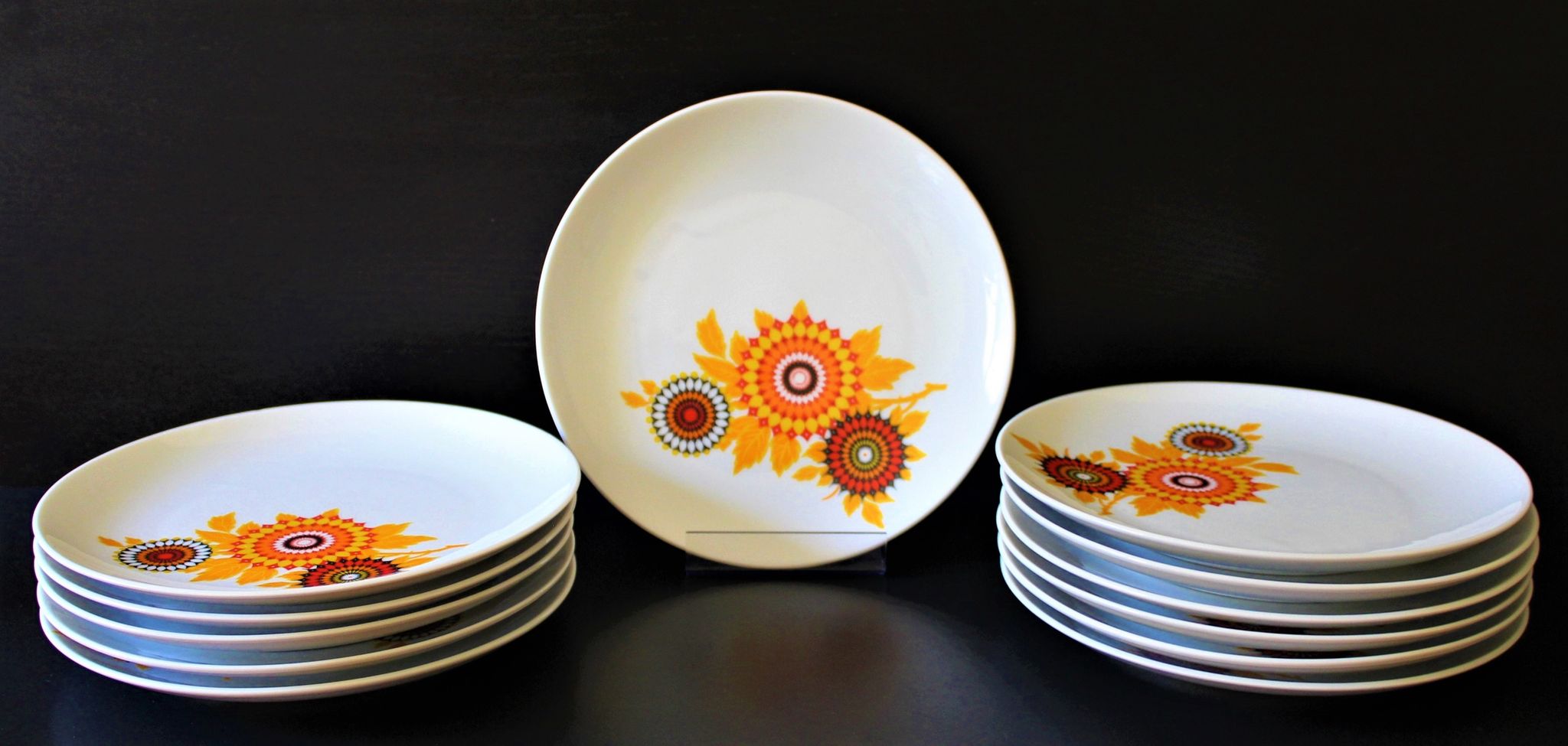 6 70's dessert plates in Winterling Bavaria porcelain