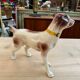 Series of ceramic dogs from Desvres