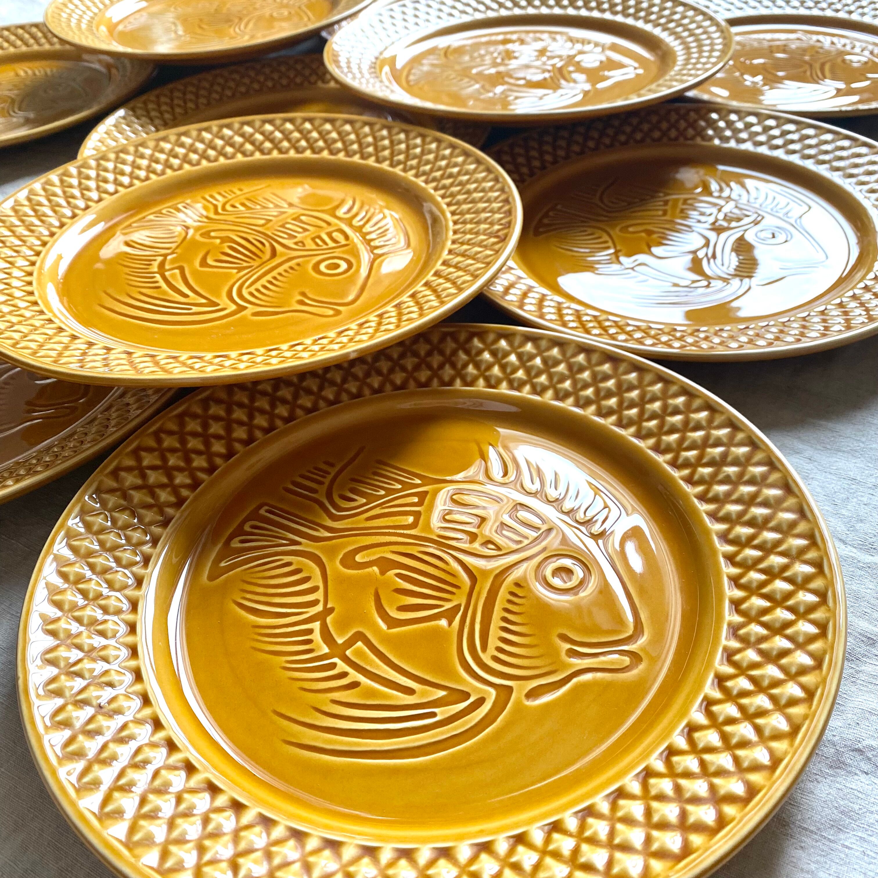Flat plates in ceramic fish