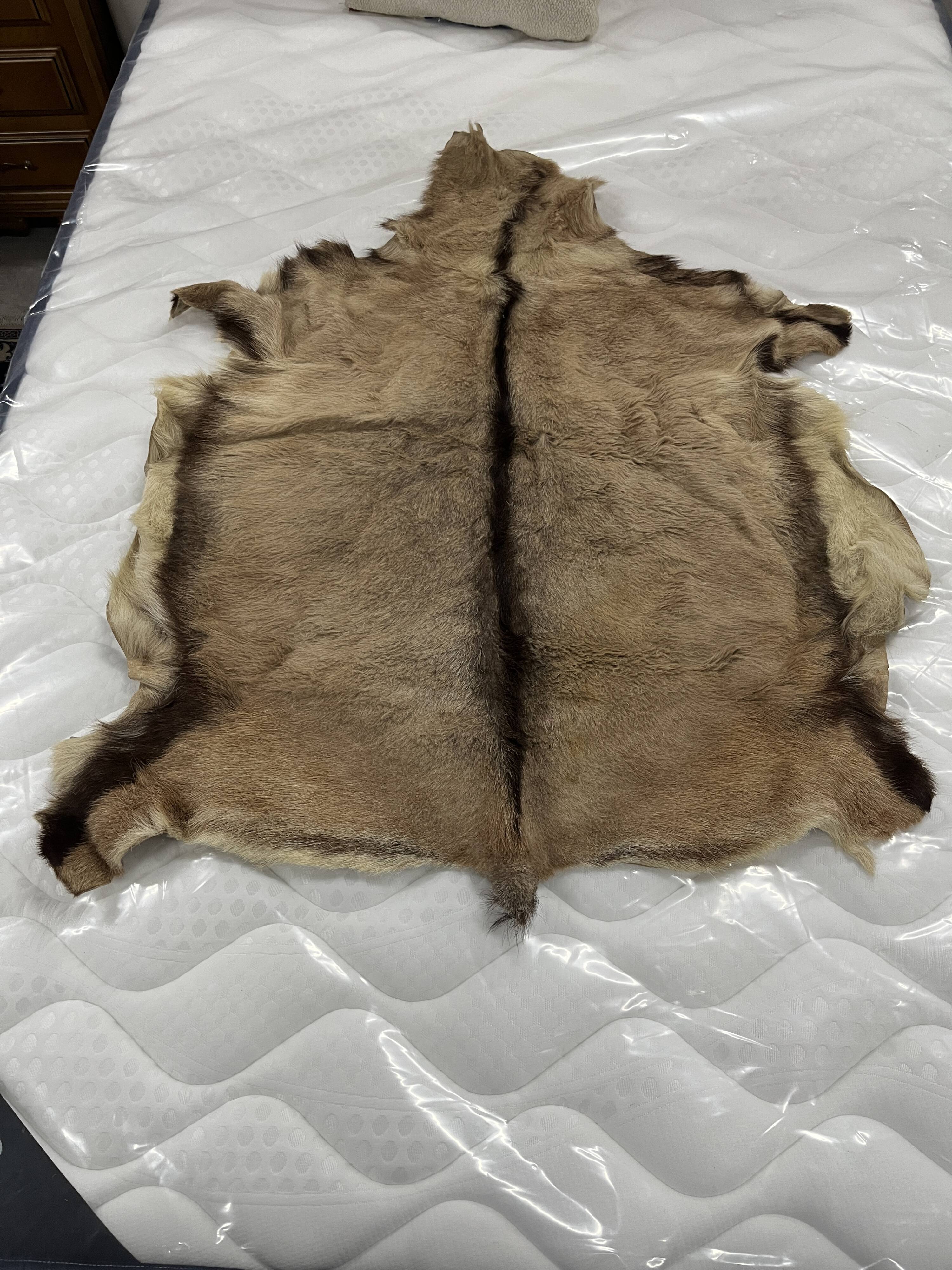 Goat skin rug, 20th century.