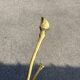 Vintage pied de lampe tripode laiton 1950 sabot de biche lampadaire