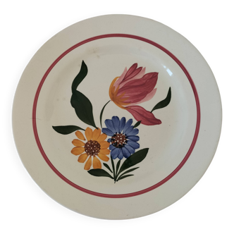 Sarreguemines iron earth plate, Selestat model