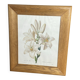 Botanical print, White Lily, P-J Redouté