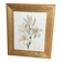 Botanical print, White Lily, P-J Redouté