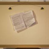 Art of paper cutting by Shi Junfeng, China, 20th century.