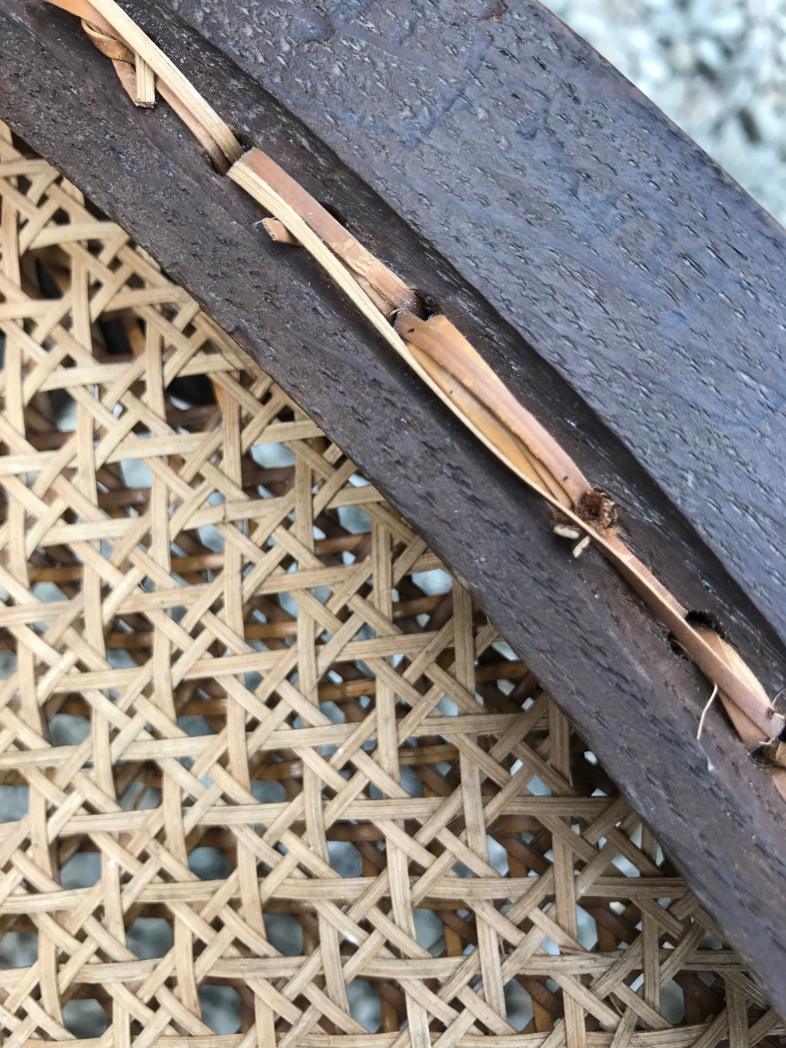 Four chairs during the Napoleon III era