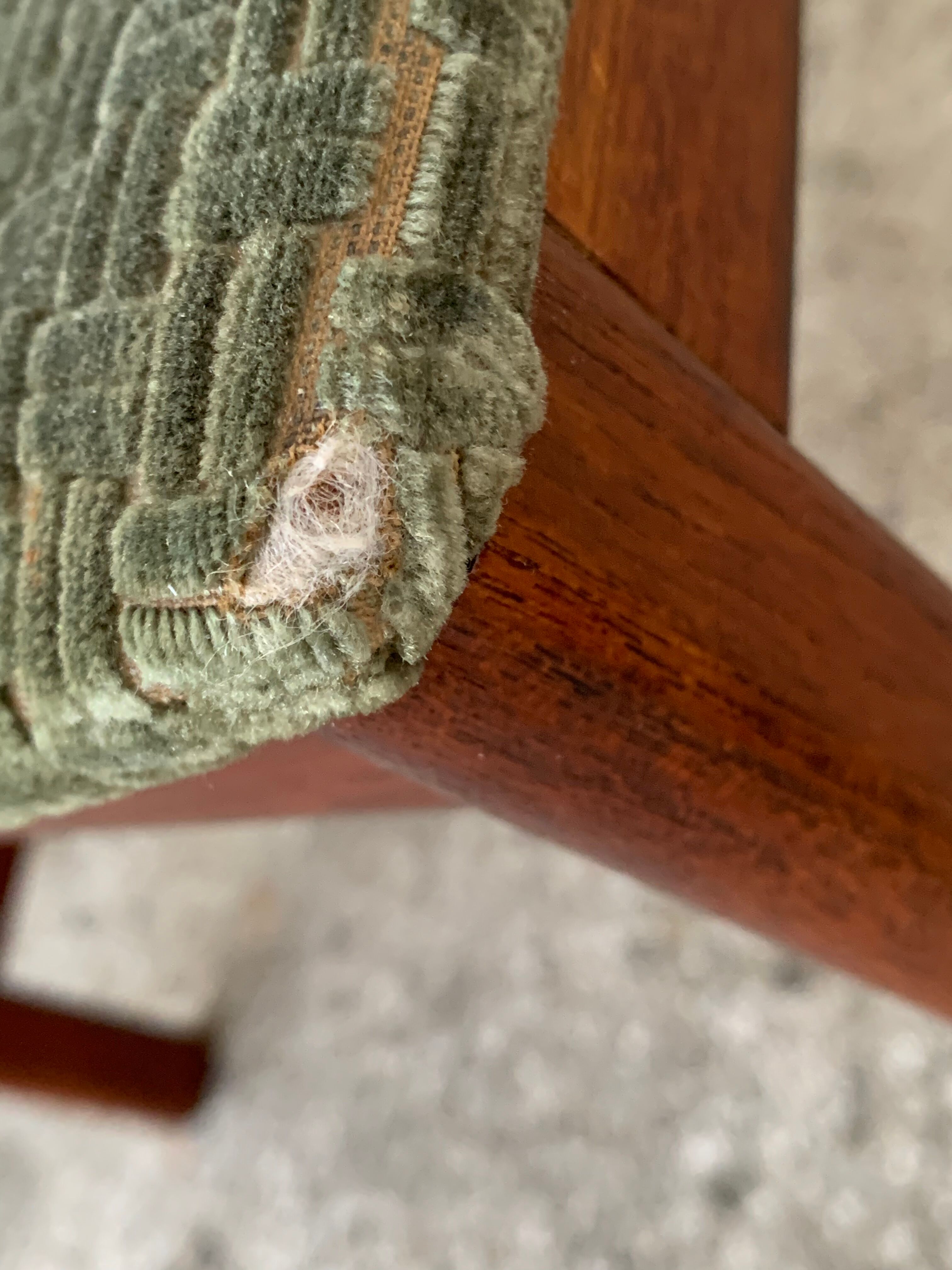 Pair of Scandinavian teak and velvet chairs 1960