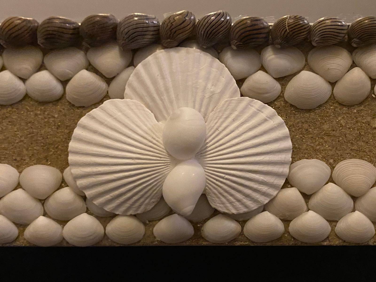 Mirror 2 wood & shells