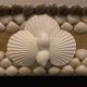 Mirror 2 wood & shells