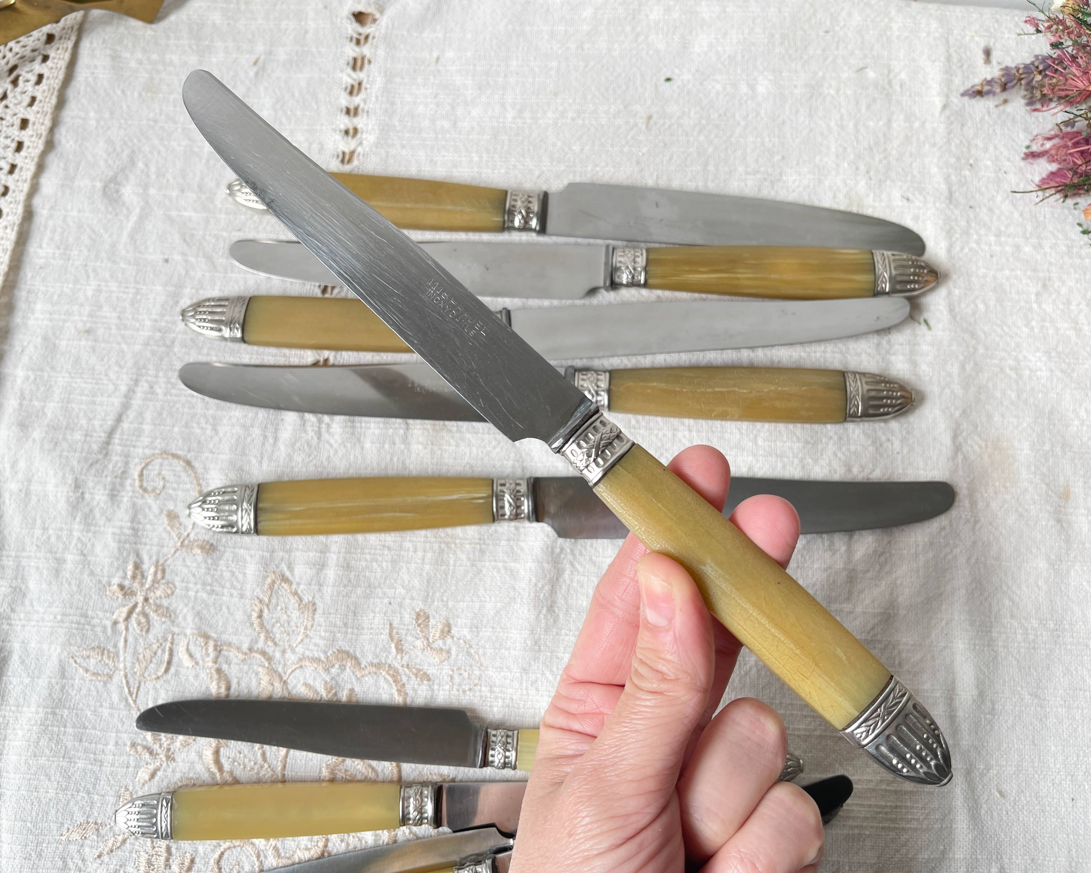 12 couteaux vintage bakélite Inox Pradel