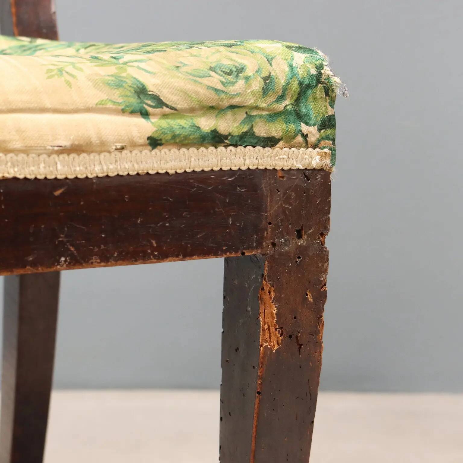 Pair of antique Directoire chairs in walnut and fabric, Italy, 19th century.