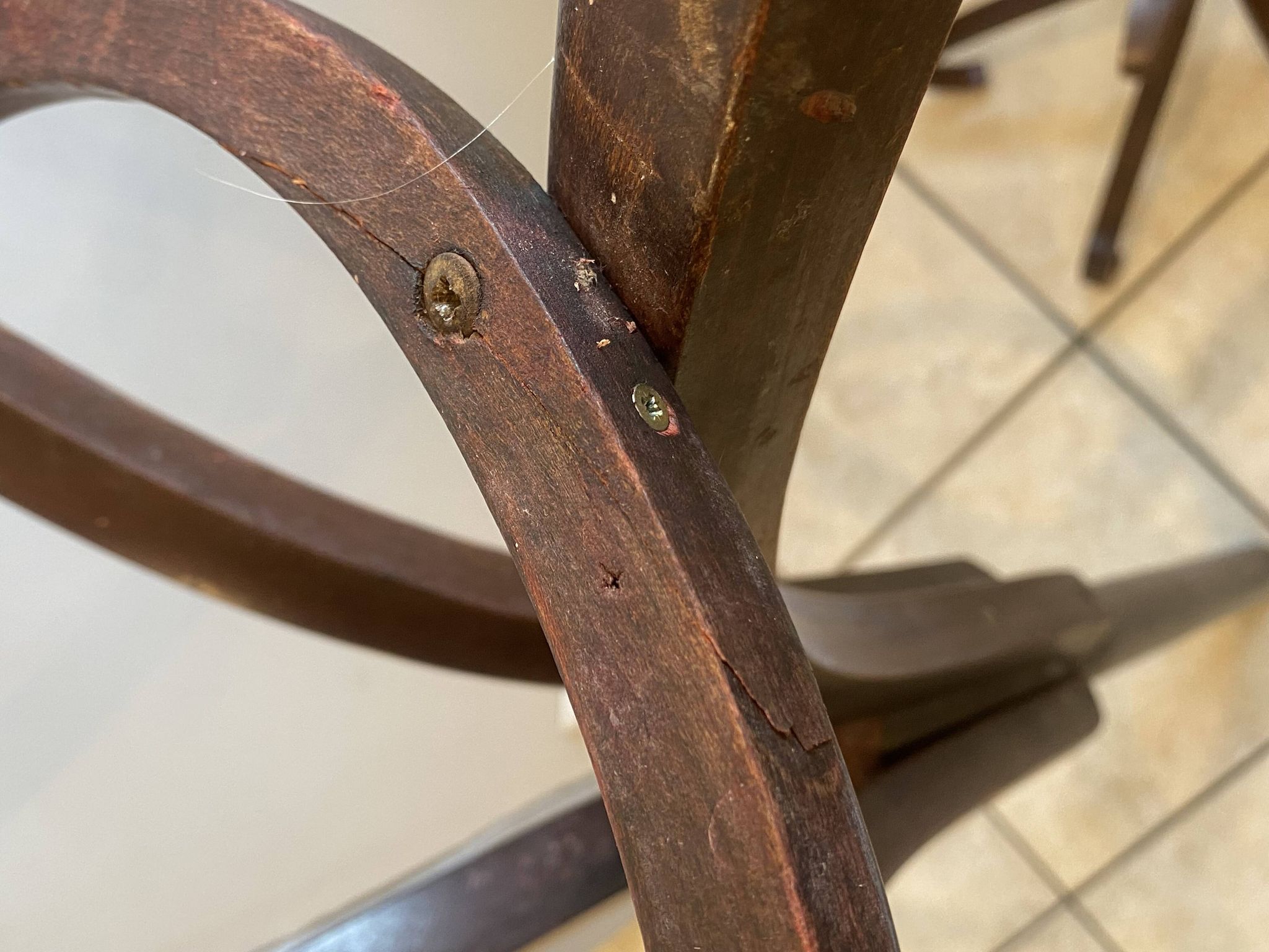 Parrot coat rack, swivel, bistro style 1960