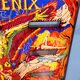 Pinball plate "Phoenix" Williams 1970s
