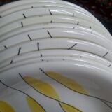 Salins "Moonlight" plates