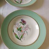 Ensemble de 6 assiettes creuse Orchies Moulins des Loups