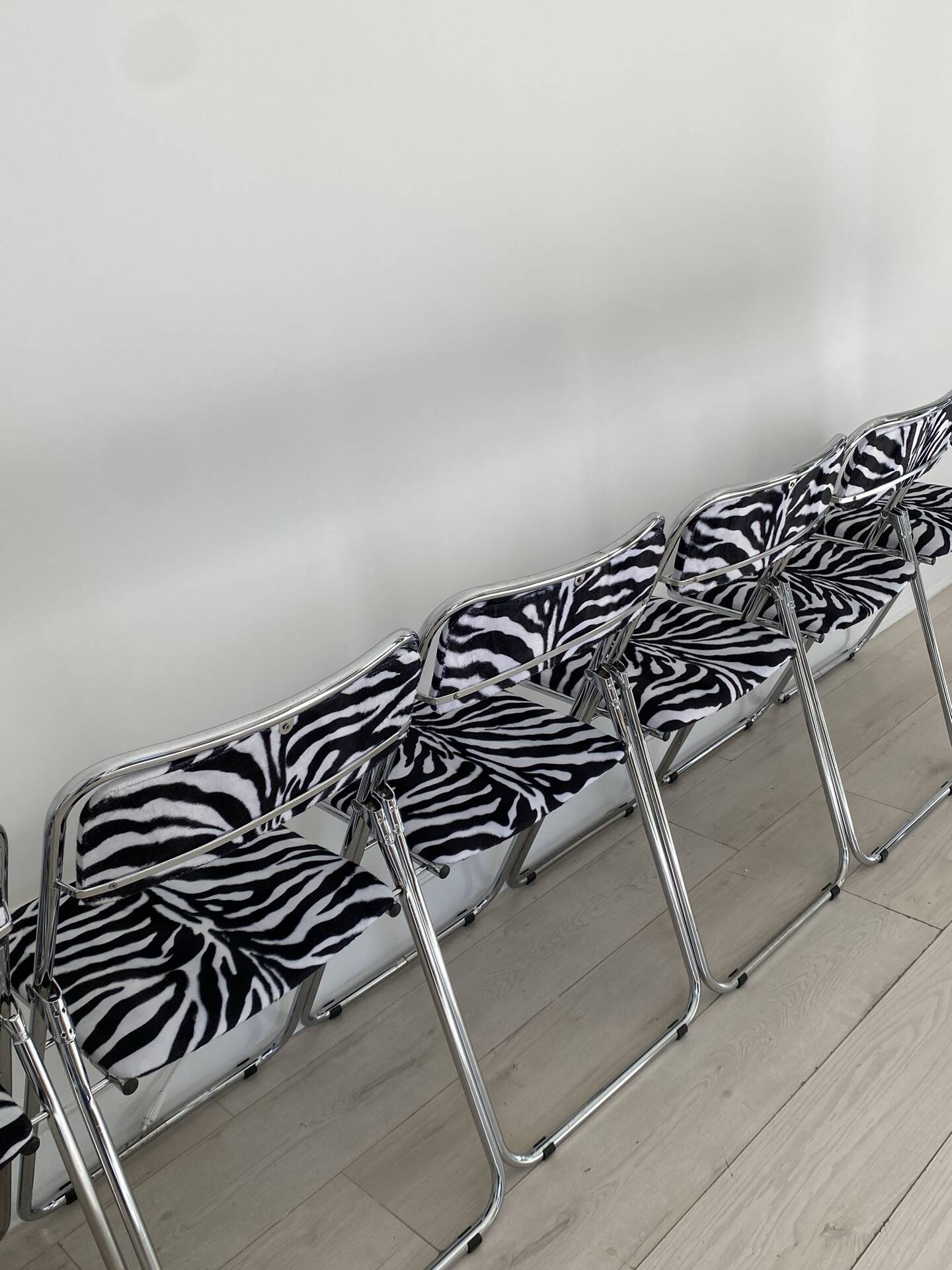 6 zebra folding chairs