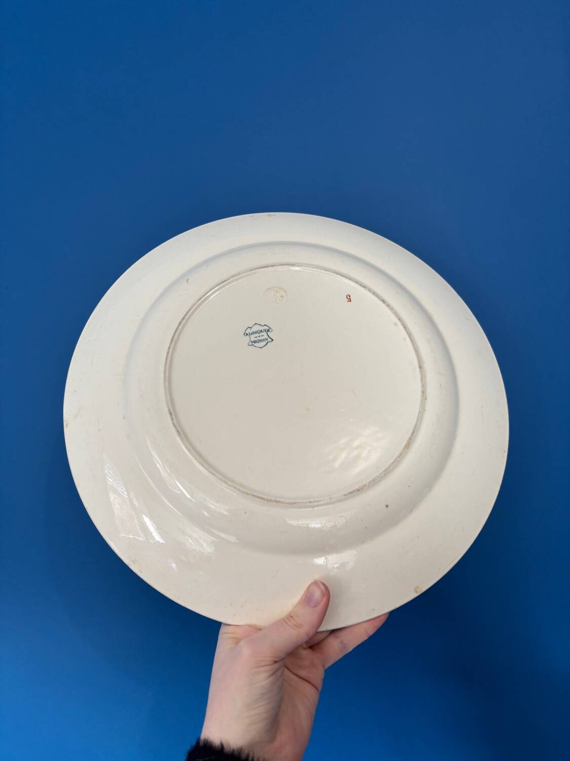 Round plate Longwy model Mignon – Antique earthenware with floral and bird decoration.