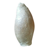 Cymbium shell