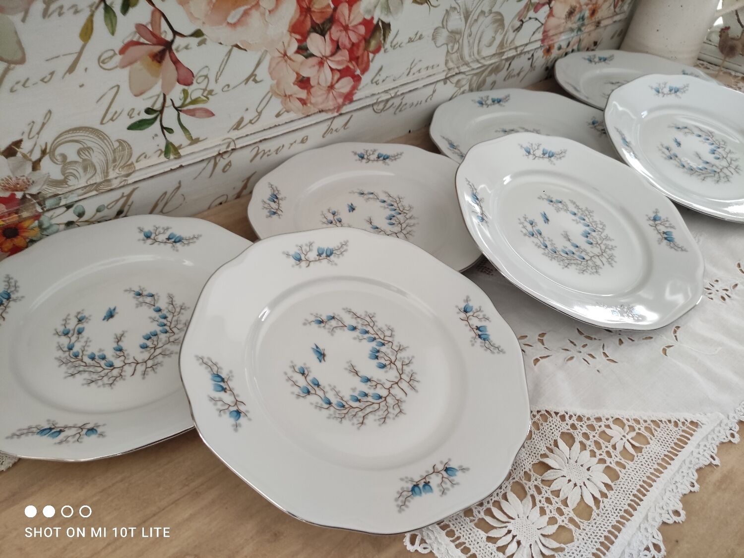 Lot de 7 assiettes plates en porcelaine Czecoslovakia modèle Bohemia