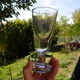 Set of 2 glass absinthe glasses