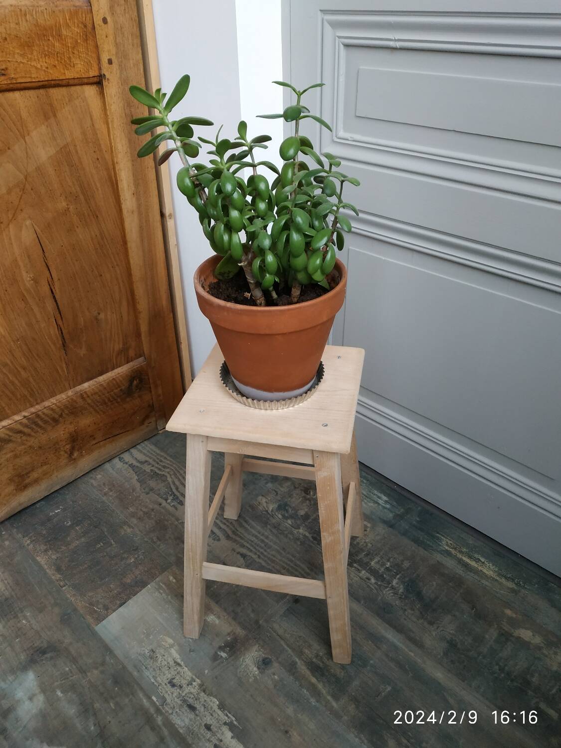 Wooden stool
