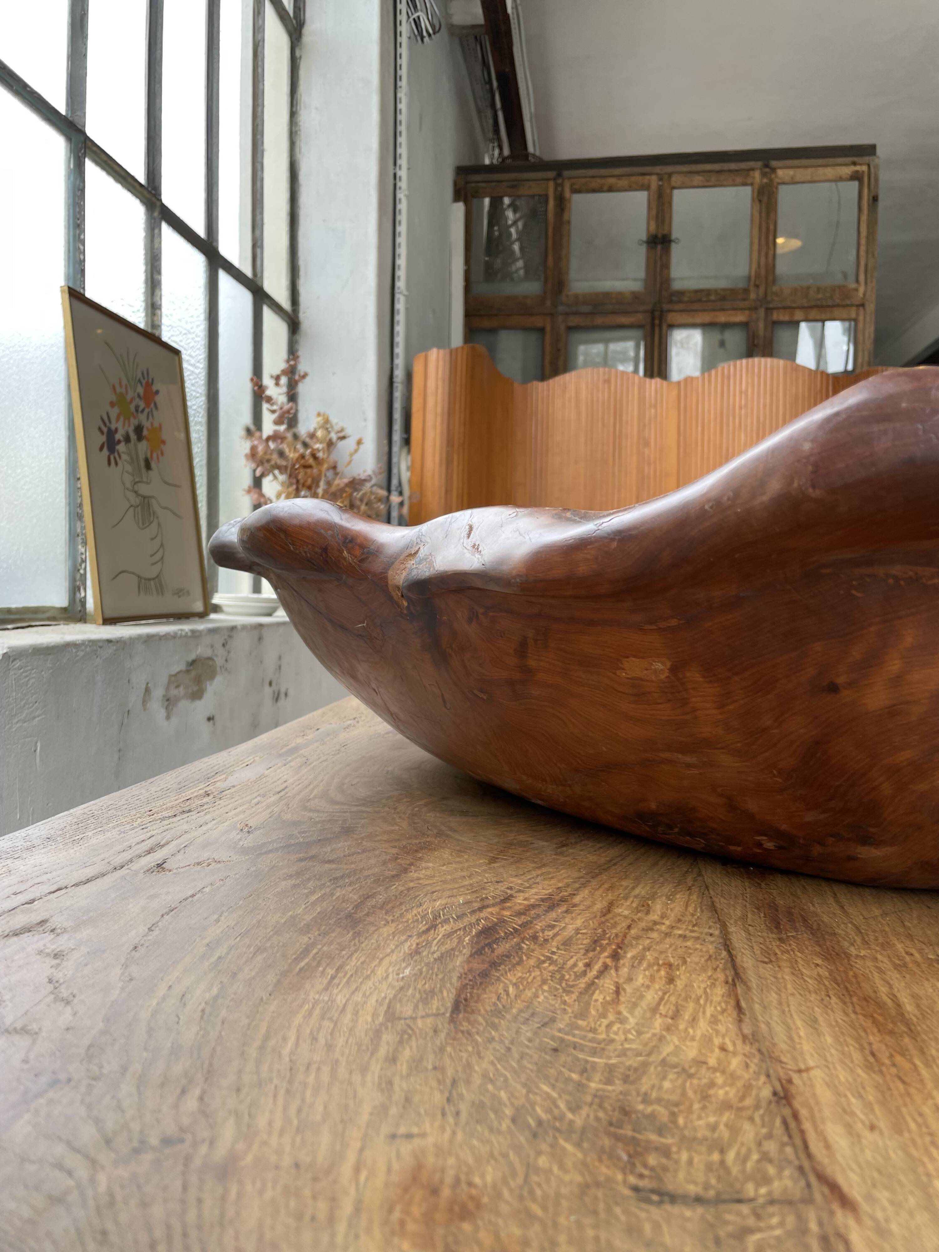 XL thuja root wooden dish