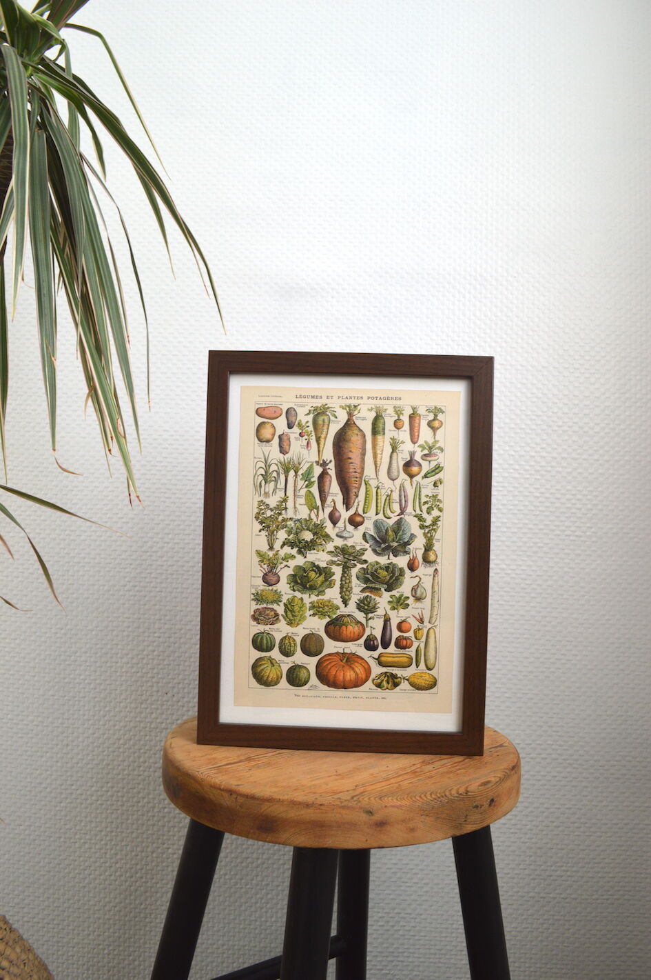 Lithograph vintage vegetables and vegetables framed 1923