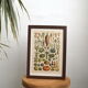 Lithograph vintage vegetables and vegetables framed 1923
