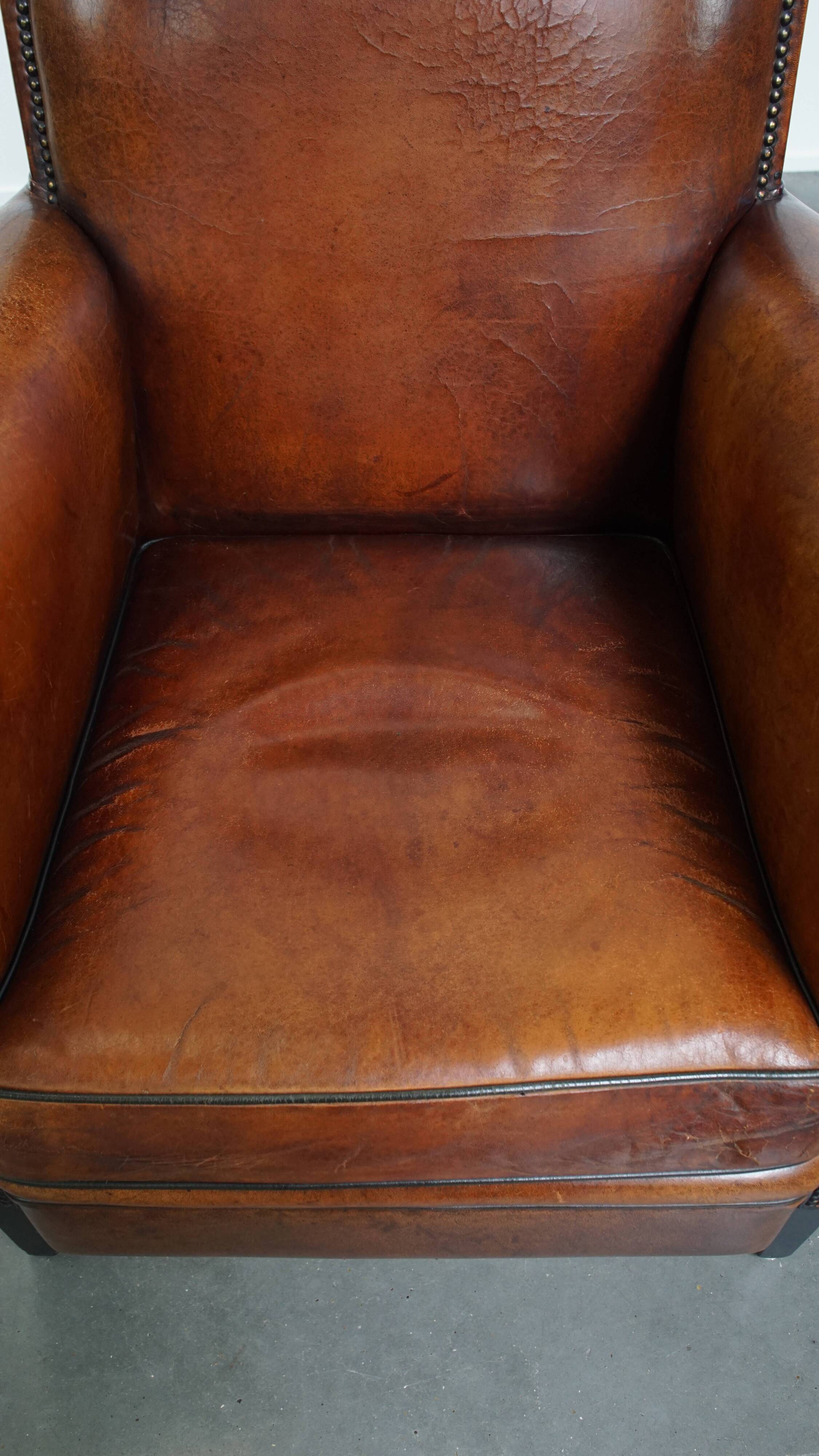 Sheepskin leather armchair in a cognac color with black piping