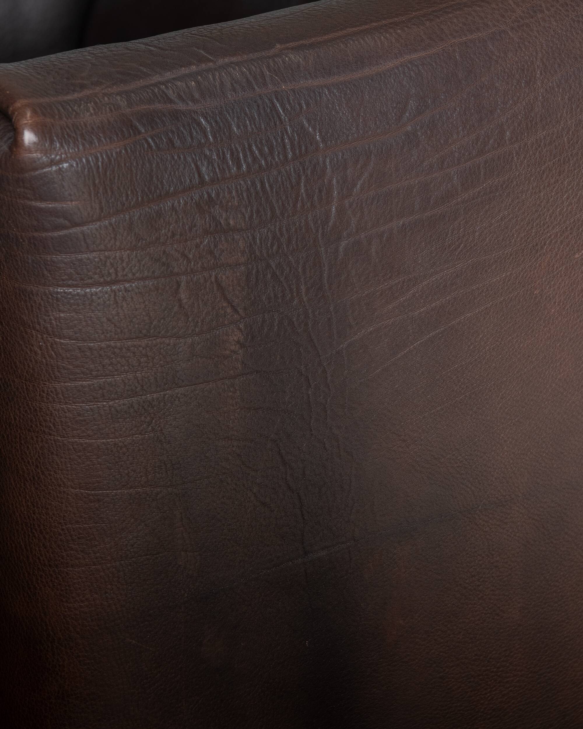 Vintage DS-47 Two-Seater Sofa by De Sede, Neck Leather Extendable Seat 1970