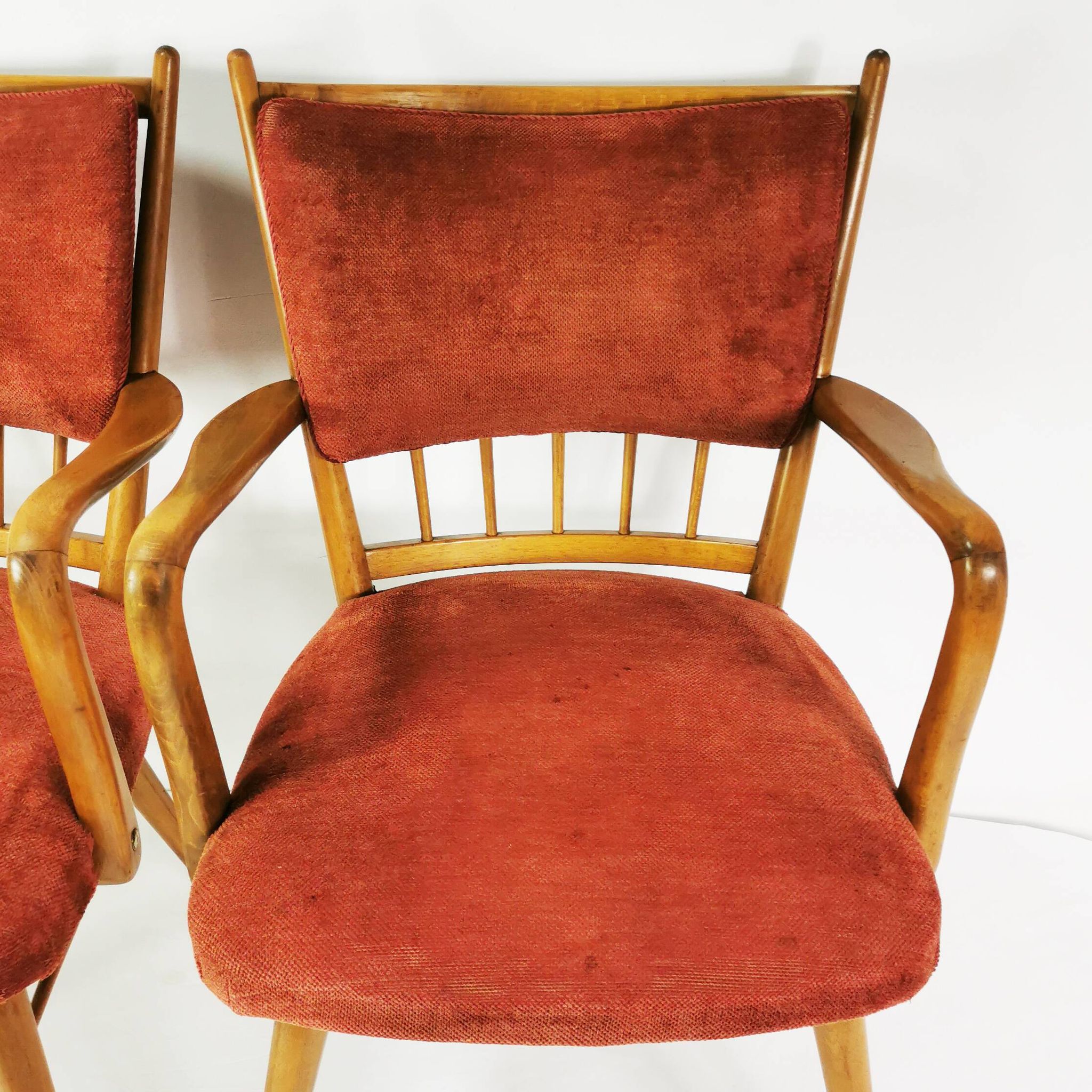 Mid Century Chairs, Casala, Germany 1950s