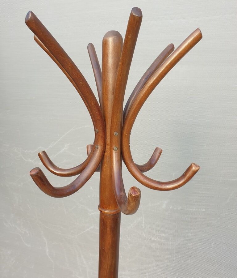 Coat rack parrot bentwood model P30