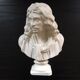 Bust of Molière in plaster