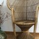 Emmanuelle chair - peacock