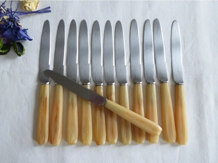 12 fruit knives, dessert. horn handle. length 19 cm