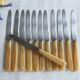 12 fruit knives, dessert. horn handle. length 19 cm