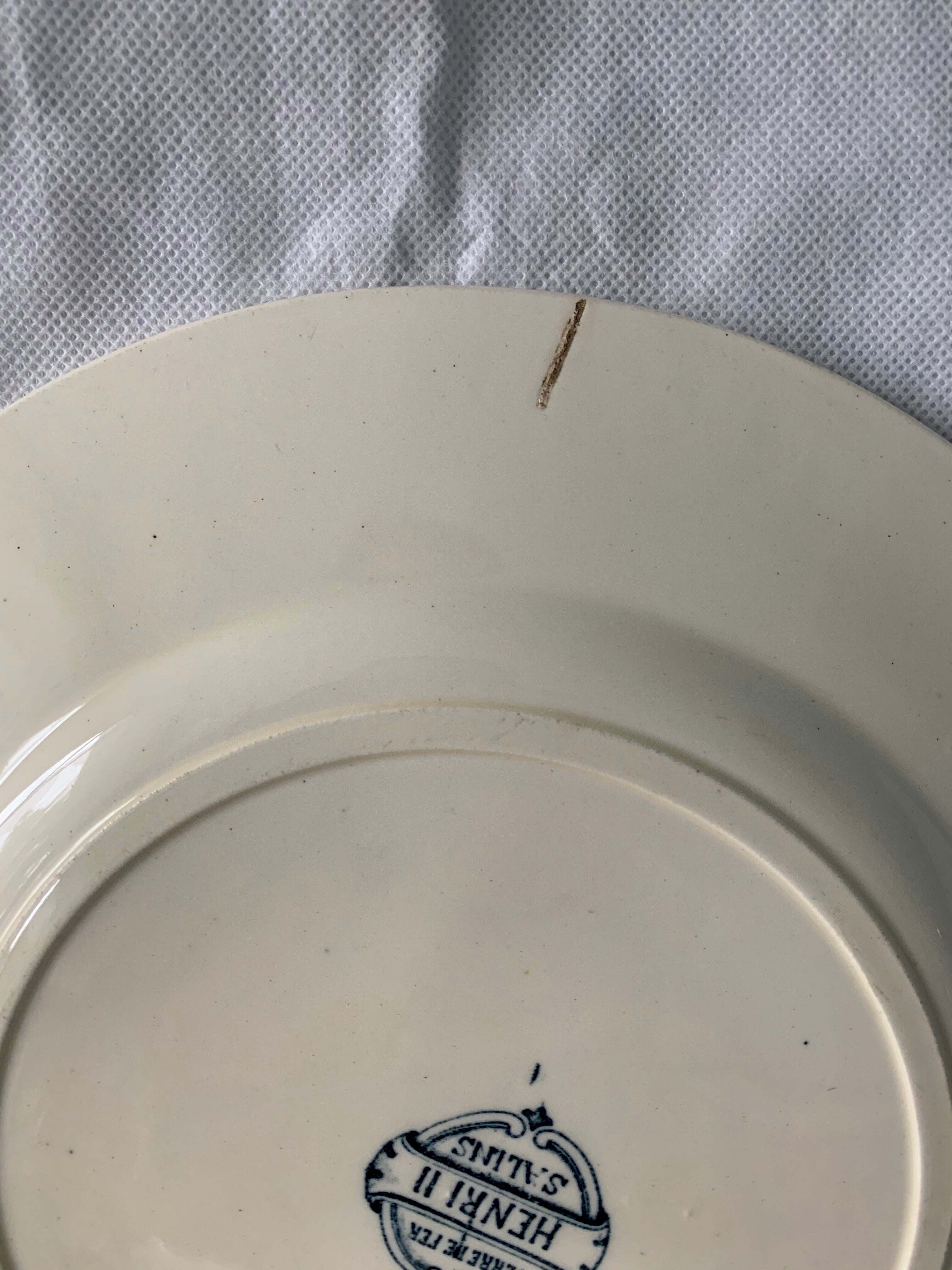 Lot of 12 old flat plates and 2 dishes, Terre de fer Henri II Salins