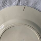 Lot of 12 old flat plates and 2 dishes, Terre de fer Henri II Salins